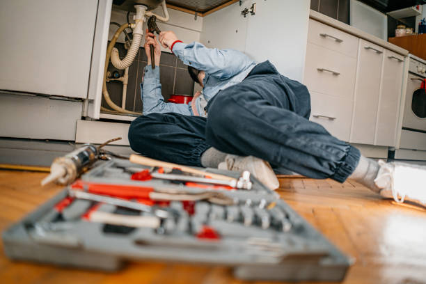 Best Local Plumber Services  in Savanna, IL