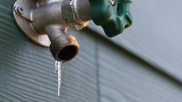 Best Pipe Repair Near Me  in Savanna, IL