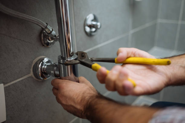 Best Septic Systems  in Savanna, IL