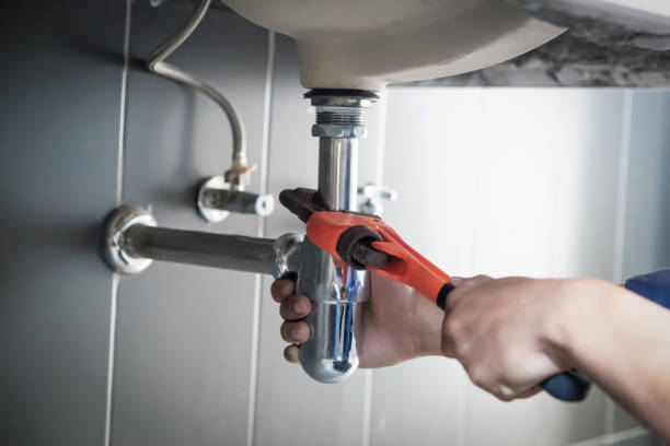 Best Residential Plumbing Services  in Savanna, IL